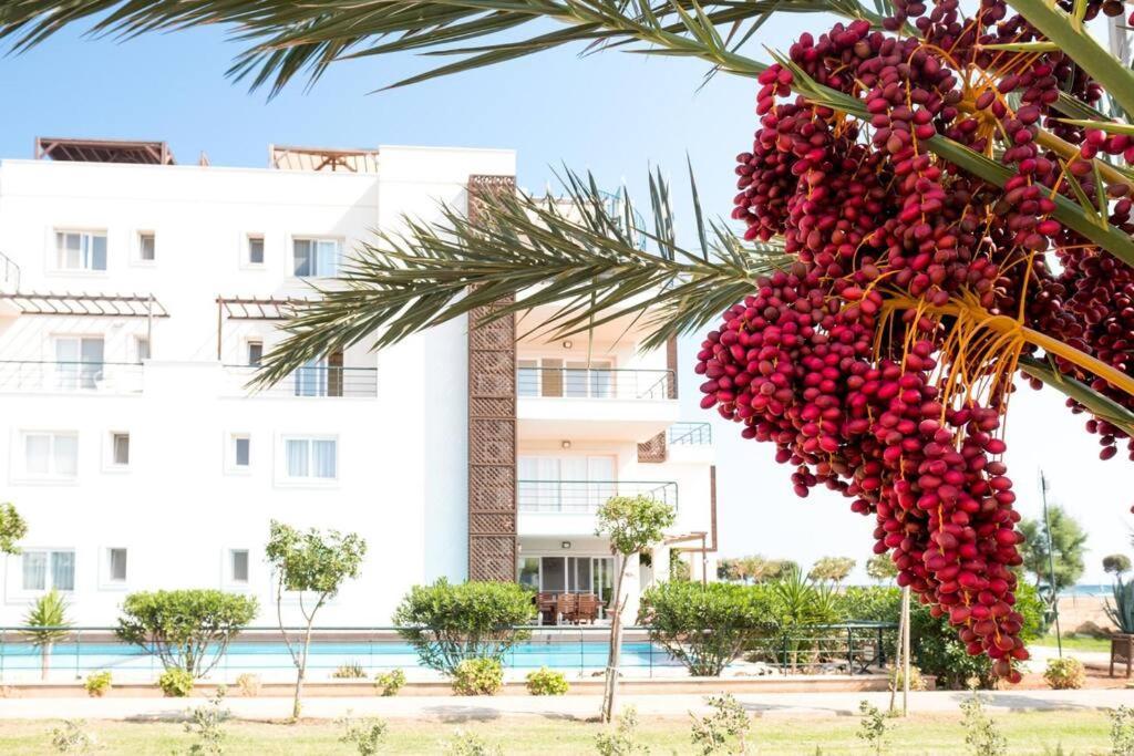 Private Beach Resort Cyprus Vokolidha Exterior photo